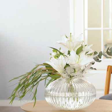 SATURNUS MALJAKKO, PYSTYRAIDOIN 24x14 cm