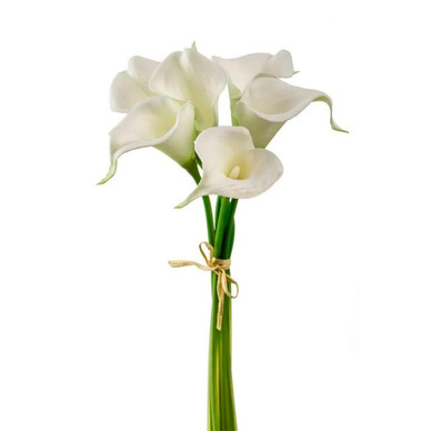 KALLAKIMPPU, 6 KPL/VALKOINEN 35 cm