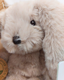 RABBIT SVEA, PUPUPEHMO, BEIGE 25 cm