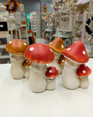 KÄRPÄSSIENIKORISTE, LAJITELMA 6x10x5 cm