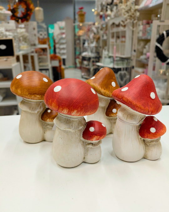 KÄRPÄSSIENIKORISTE, LAJITELMA 6x10x5 cm