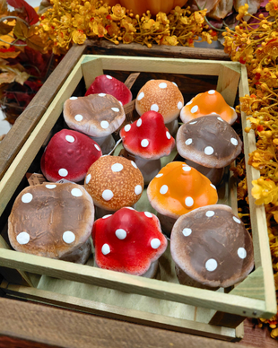 MINI KÄRPÄSSIENIKORISTE, LAJITELMA 5x7x5 cm