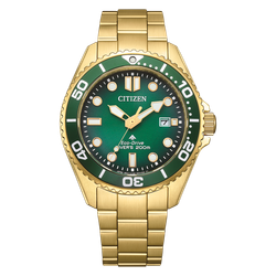 Citizen Promaster Eco-Drive Diver BN0262-59W