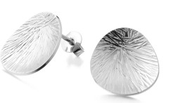 Lumoava Lily korvakorut L54257900000