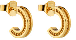 Lumoava Aina korvakorut L64259700000