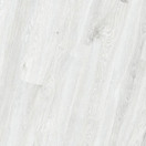 Tundran tammi laminaatti