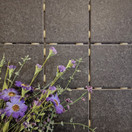 Fossano Dark Grey matta 10x10 cm lattialaatta