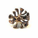 Valo-Koru | Hannu Ikonen |  Jäkälä SORMUS | Säädettävä koko | Pronssia