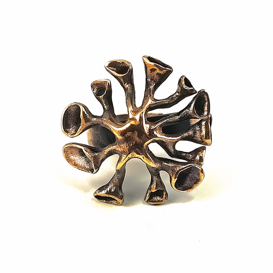 Valo-Koru | Hannu Ikonen |  Jäkälä SORMUS | Säädettävä koko | Pronssia