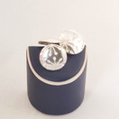 Kalevala Koru ,Anna kalvosinnapit Hopeaa