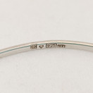 Erik Granit, Rannekoru, Hopeaa -79