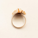 AKT, Tammen koru , Sormus , 14k Kultaa -72