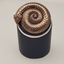 Kalevala Jewelry, (big) ' brass snake ' Brooch , Bronze