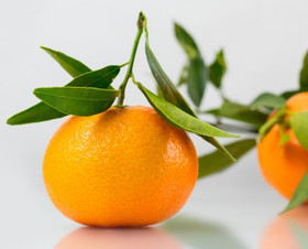 Frantsila Mandariini eteerinen öljy 10ml