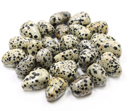 Dalmatianjaspis 20-35mm