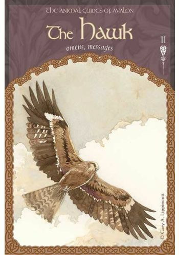 The Wisdom of Avalon Oracle Cards by Colette-Baron Reid