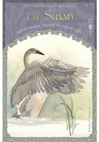 The Wisdom of Avalon Oracle Cards by Colette-Baron Reid