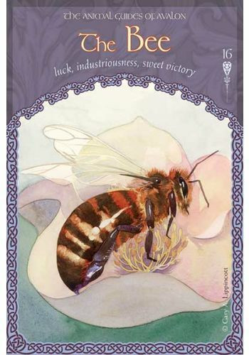 The Wisdom of Avalon Oracle Cards by Colette-Baron Reid