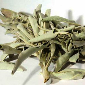 Valkoinen salvia / White Sage irtolehdet 25g