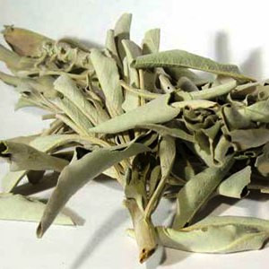 Valkoinen salvia / White Sage irtolehdet 40g