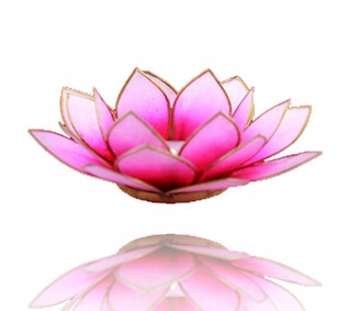 Lotus tuikkulyhty Pinkki kultareunuksin