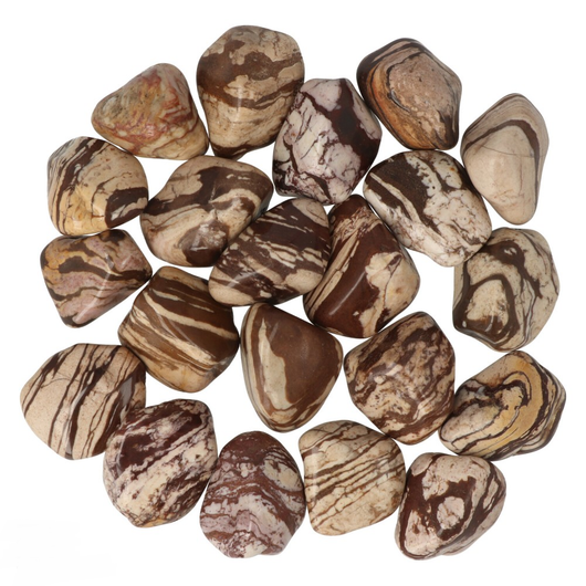 Seeprajaspis 40-50mm