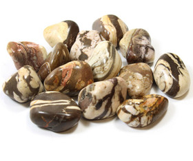 Seeprajaspis 40-50mm