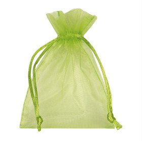 Organzapussi Limenvihreä 9*12cm