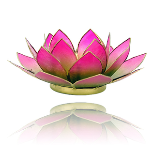 Lotus tuikkulyhty Vihreä-Pinkki kultareunuksin