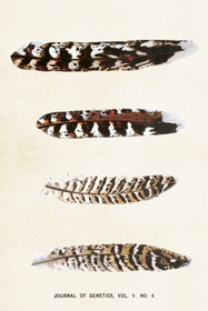 Postikortti vintage Sulka 3