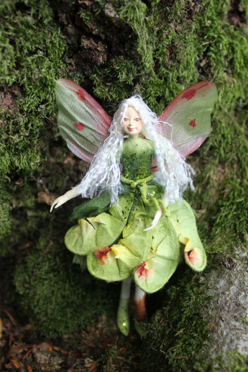 Keijuperhe: Metsänkeiju 'Saniainen'