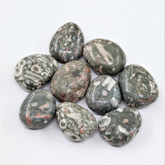 Simpukkajaspis Riipus 20mm