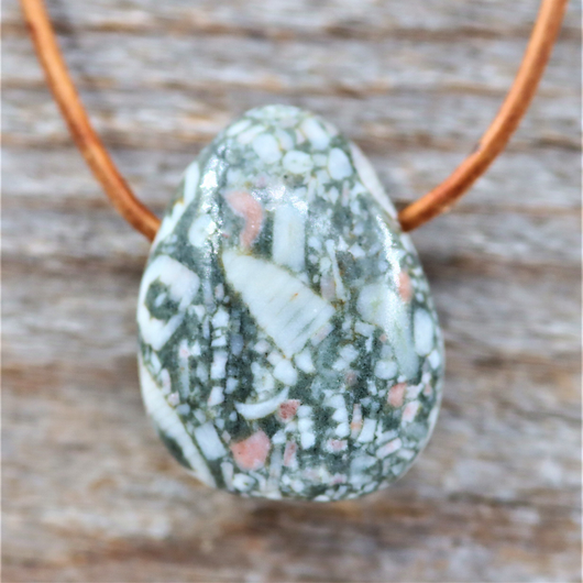 Simpukkajaspis Riipus 20mm