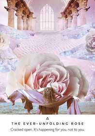 Work Your Light Oracle Cards by Rebecca Campbell