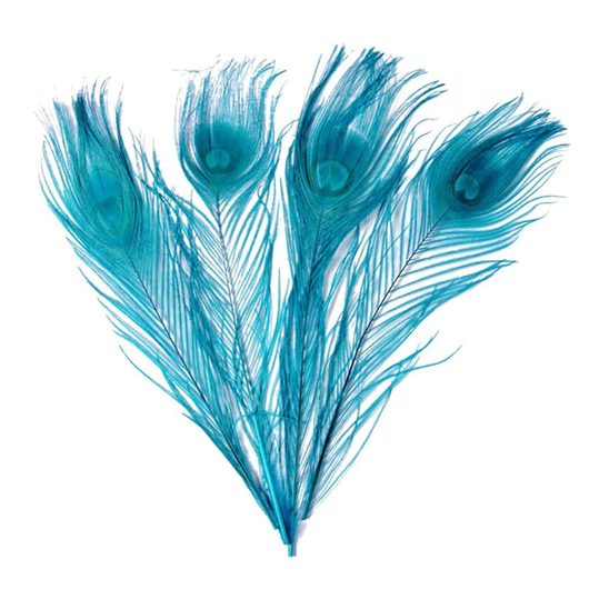 Riikinkukonsulka Turkoosi 25-30cm (3 kpl)