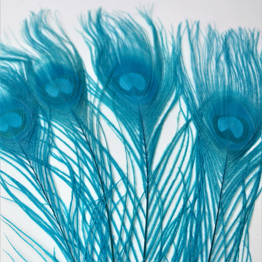 Riikinkukonsulka Turkoosi 25-30cm (3 kpl)