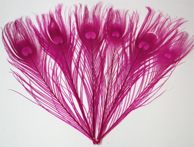 Riikinkukonsulka Pinkki 25-30cm (3 kpl)