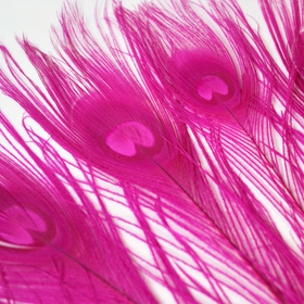 Riikinkukonsulka Pinkki 25-30cm (3 kpl)