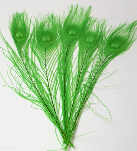 Riikinkukonsulka Vaaleanvihreä 25-30cm (3 kpl)