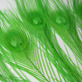 Riikinkukonsulka Vaaleanvihreä 25-30cm (3 kpl)