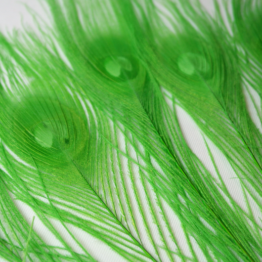 Riikinkukonsulka Vaaleanvihreä 25-30cm (3 kpl)