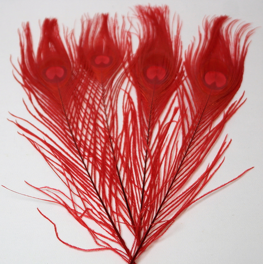 Riikinkukonsulka Punainen 25-30cm (3 kpl)