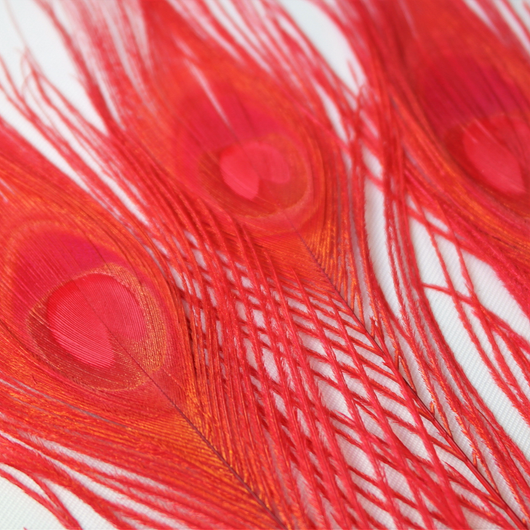 Riikinkukonsulka Punainen 25-30cm (3 kpl)