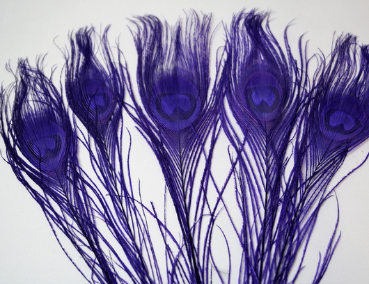 Riikinkukonsulka Violetti 25-30cm (3 kpl)