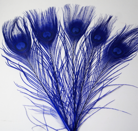 Riikinkukonsulka Sininen 25-30cm (3 kpl)