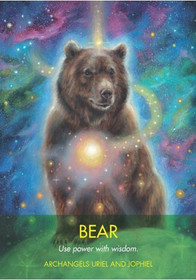 Archangel Animal Oracle Cards by Diana Cooper