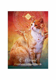 The Spirit Animal Oracle by Colette Baron-Reid