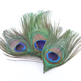 Riikinkukonsulka 'Natur' pieni 10-13cm (3 kpl)