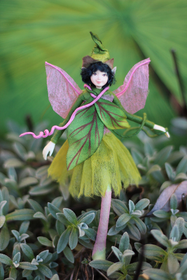 Postikortti Metsänkeiju Terho