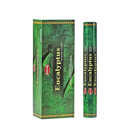 Eucalyptus suitsuke (Hem)